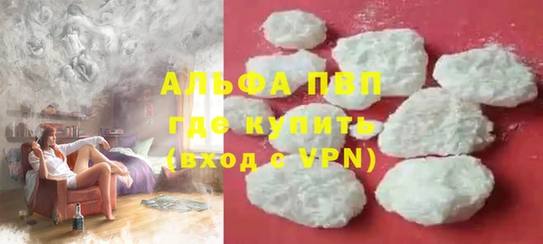 стаф Алексин