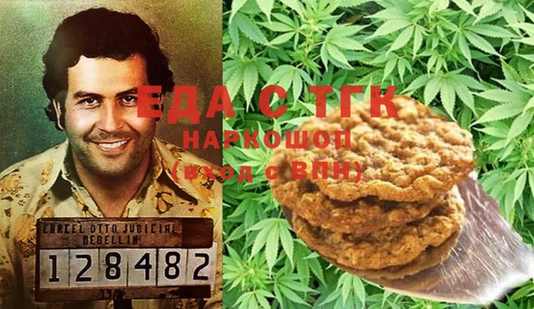 стаф Алексин