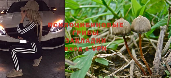 амф Алзамай