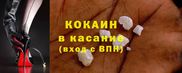 стаф Алексин