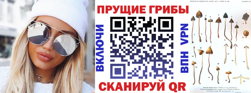 МЕГА маркетплейс Остров Псилоцибиновые грибы MAGIC MUSHROOMS как найти