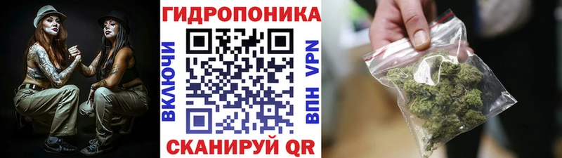 где можно купить Остров Шишки марихуана индика